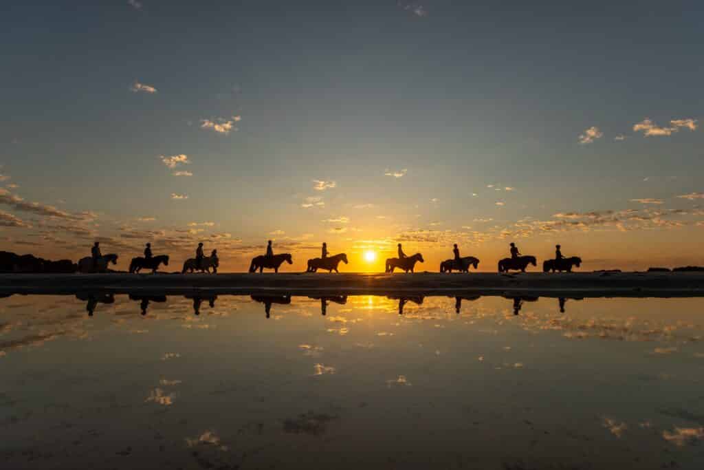 2020-06-22_KOLLTVEIT_0369_copy