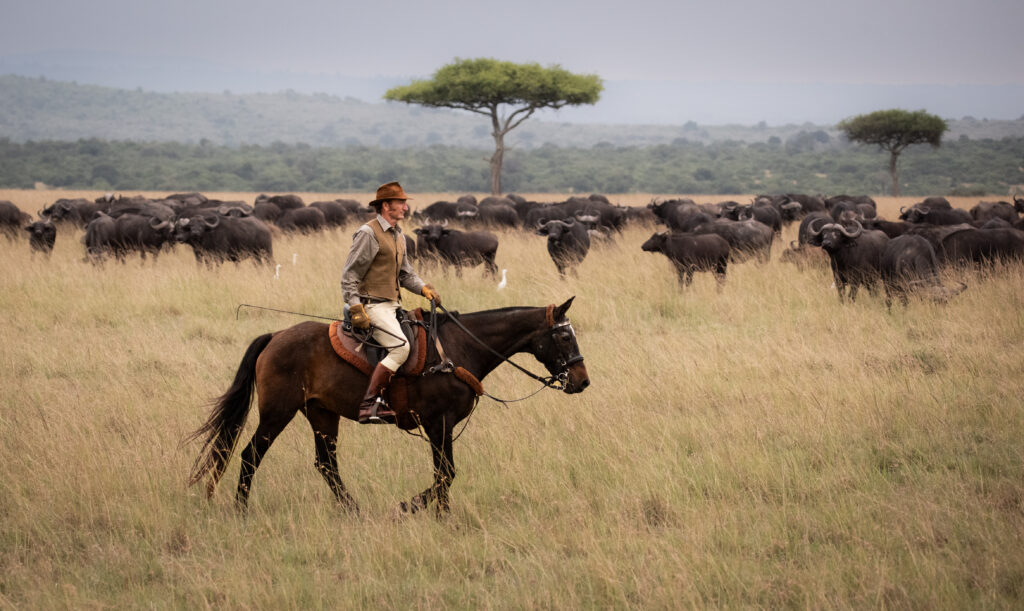 27. Safaris Unlimited