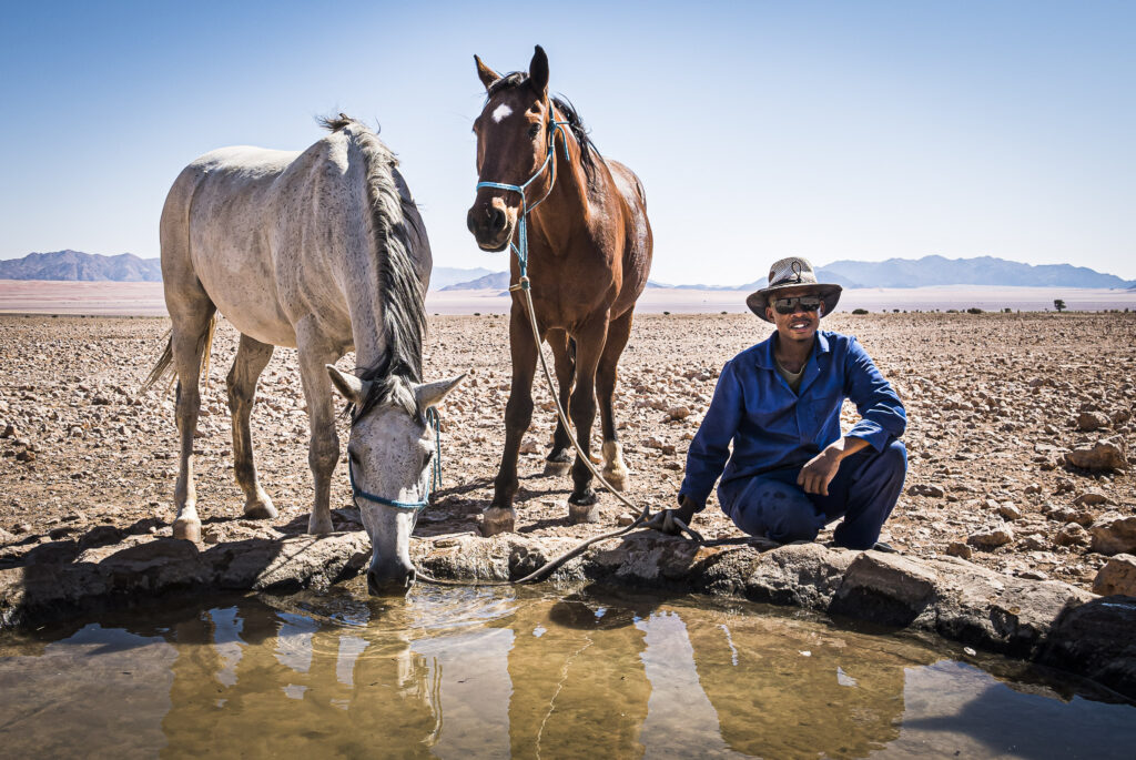 WateringHorses_RichardDunwoody