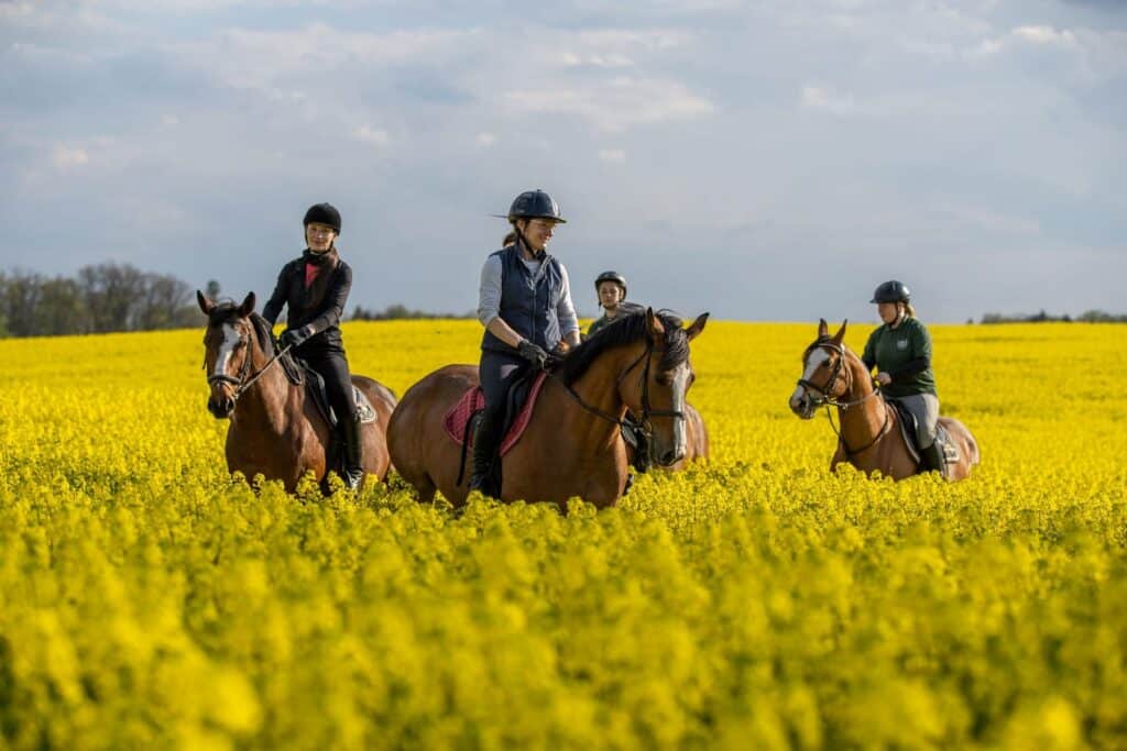 Mazurië Sport & Platteland