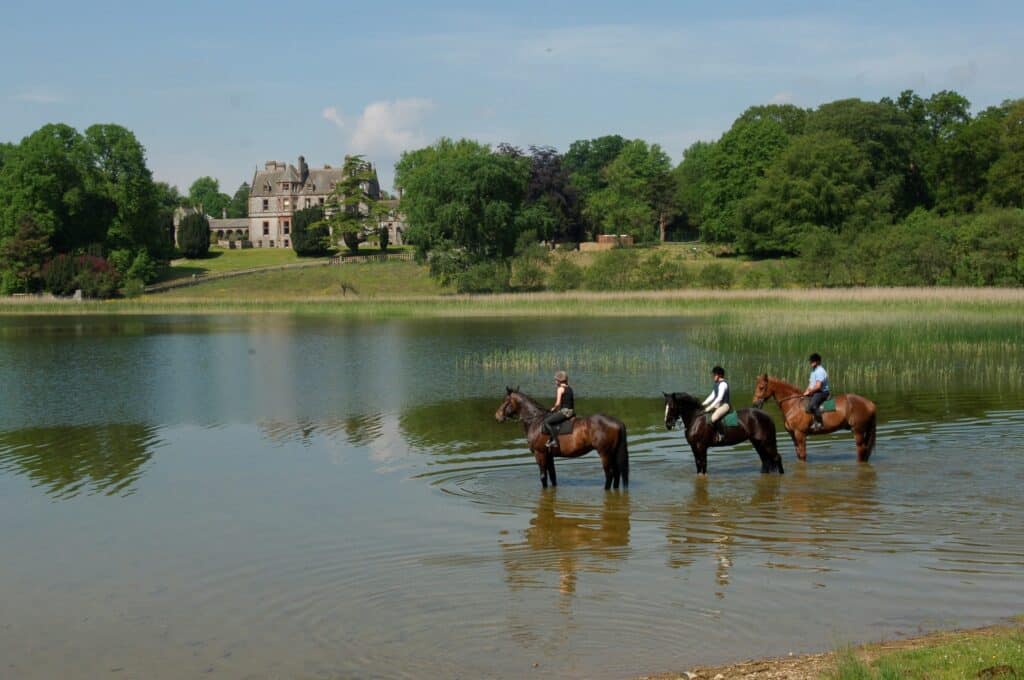 Ierse Kasteel Getaway