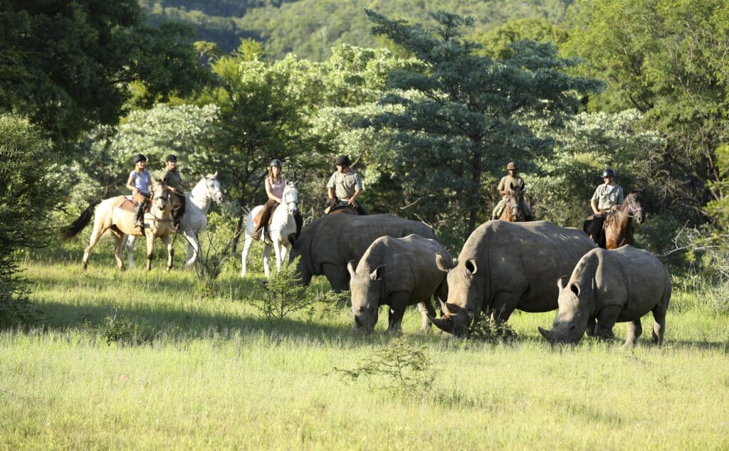 Waterberg Lodge Verblijf