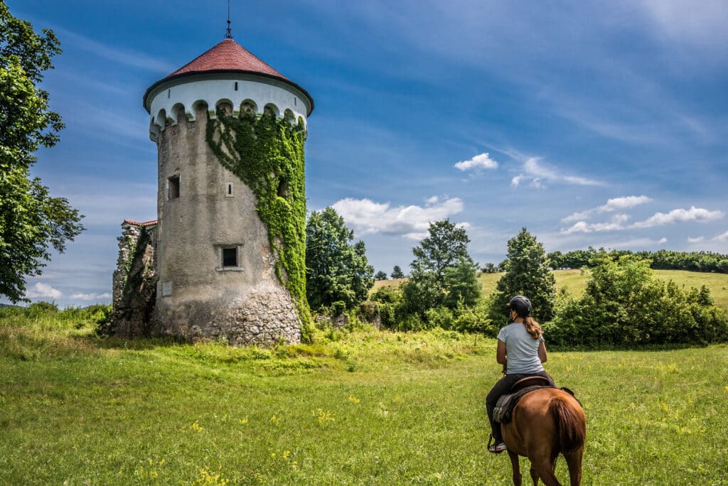 Historische Kastelen van Slovenië