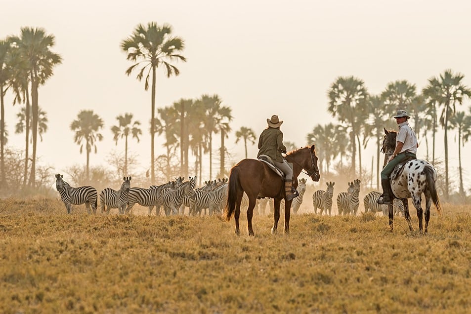 Horseback Safaris