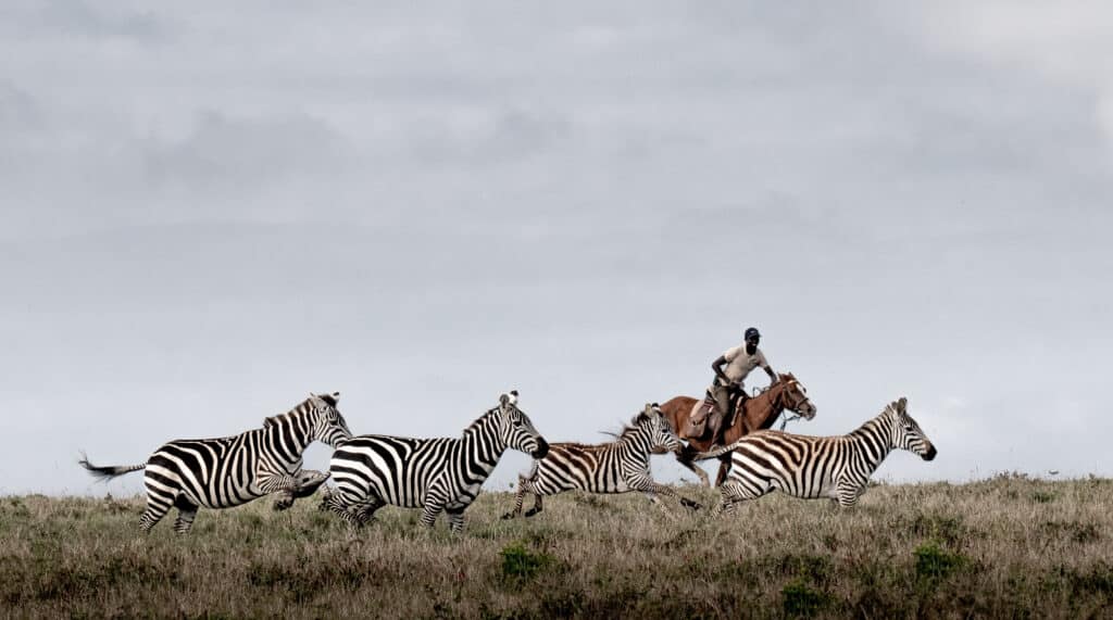 Borana Lodge Safari