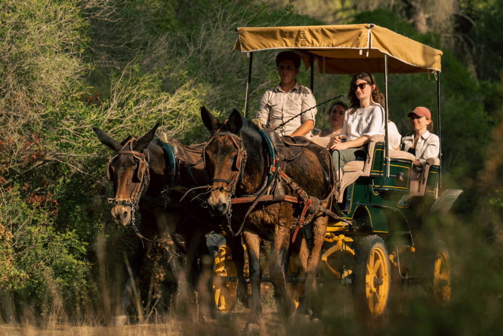 KUKUTANA_EXPERIENCES (228)